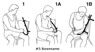 fig. 1 en 1B