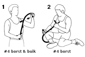 borst en buik